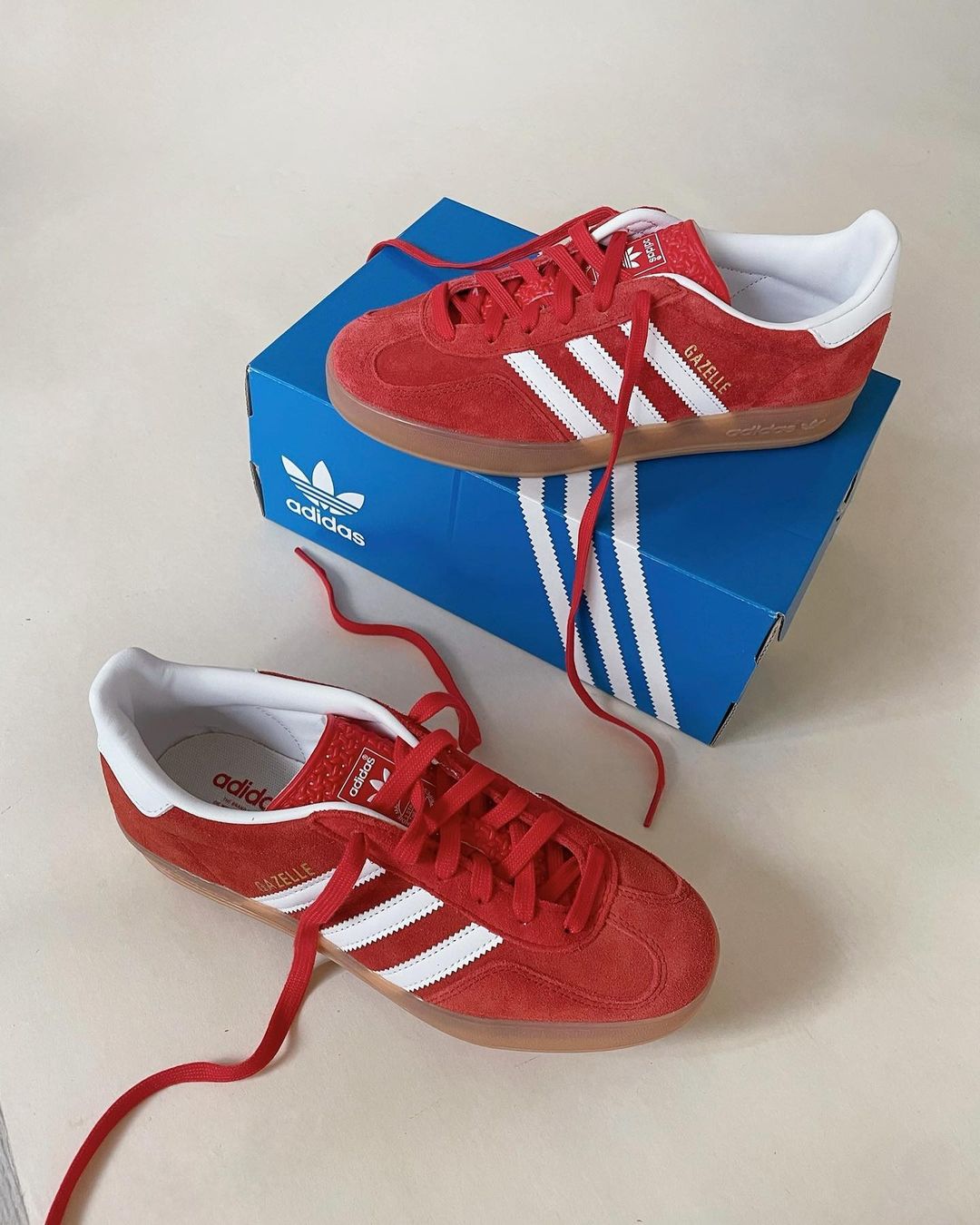 Adidas Gazelle Indoor Scarlet - HADNUS