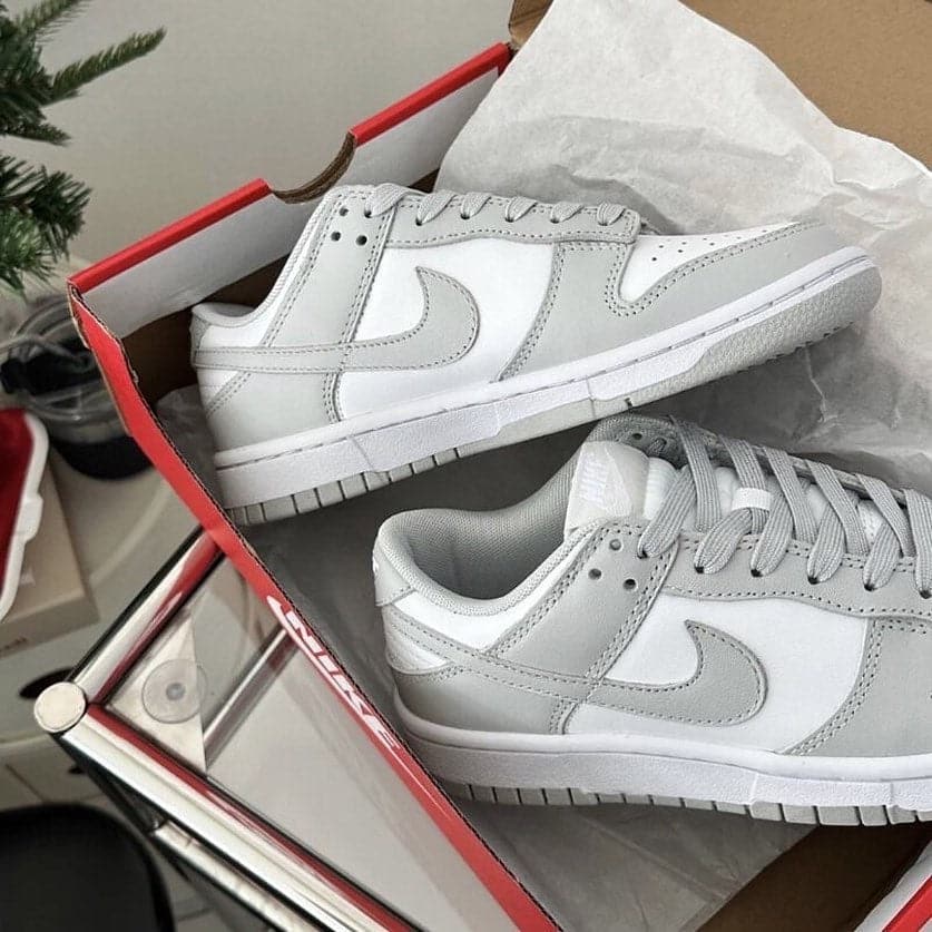 【現貨】Nike Dunk Low Grey Fog - HADNUS