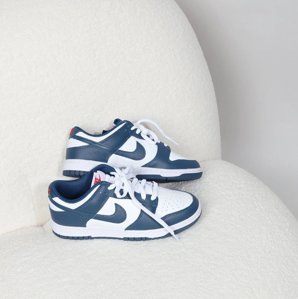 Nike Dunk Low Valerian Blue - HADNUS