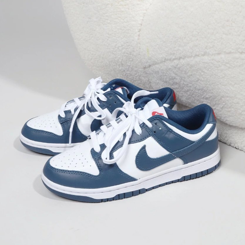 Nike Dunk Low Valerian Blue - HADNUS