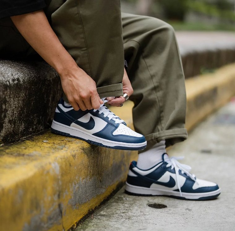 ダンクLOW Valerian Blue / dunk low / NIKE