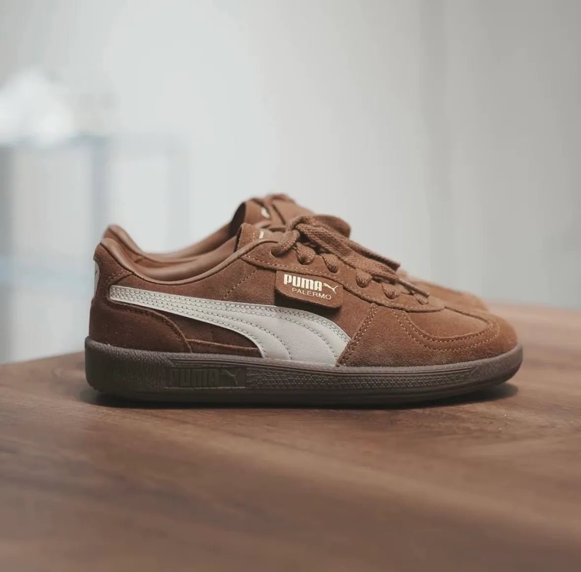 Puma Palerom brown - HADNES