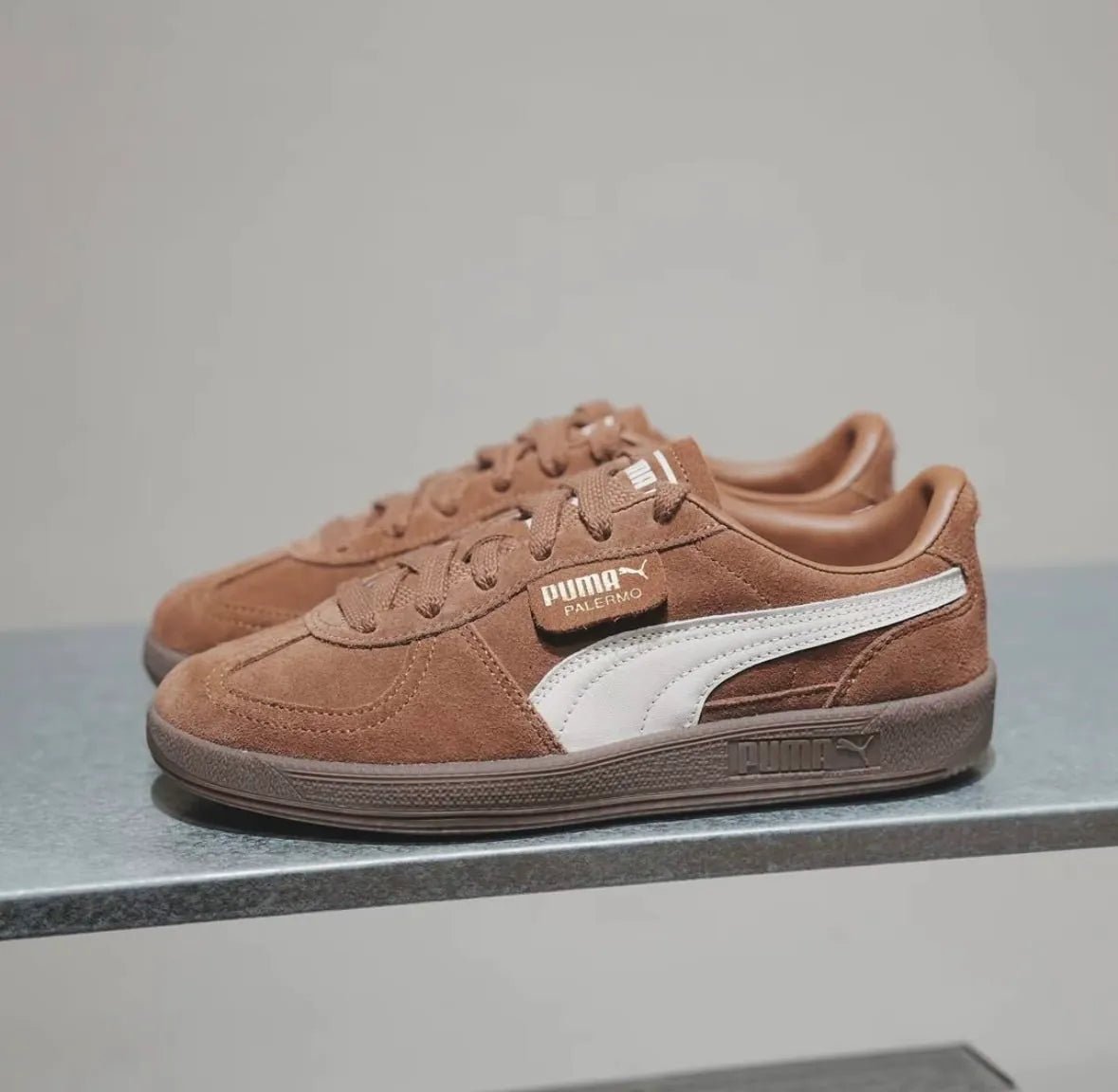 Puma Palerom brown - HADNES