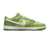 Nike Dunk Low Dj6188-300
